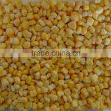 2015 New Crops IQF Frozen Whole Sweet Corn Kernels thumbnail-2