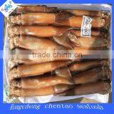 Seafrozen Illex Argentinus Squid