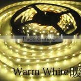 LED Strip 3528 Single Color 12V Led Strips thumbnail-5