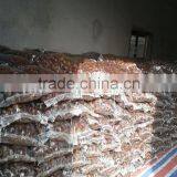 High Quality 5kg Gunny Bag Fresh Chinese Chestnut for Jordan thumbnail-2