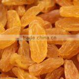 Golden Raisins thumbnail-1