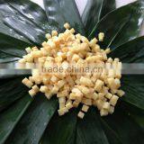 Bamboo Shoot 14 thumbnail-1