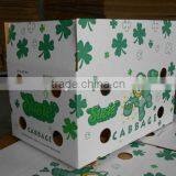 Manufacture Box for Fresh Cabbage thumbnail-3