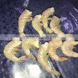 BQF Frozen Vannamei Shrimp Hlso Seafood Price thumbnail-3