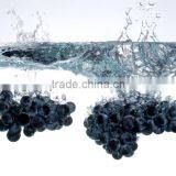 GMP Approved Grape Seed Oil in Bulk Price thumbnail-3