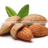 Almond Oil Natural