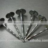 3" Umbrella Roofing Nails/construction Roofing Nails and Building Material Nails thumbnail-1