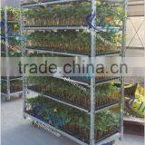 17 Display Flower Trolley, Flower Trolley Cart CC for Netherlands, Transport Trolley thumbnail-2
