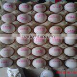 Hot Stamping Date Coding Machine/Egg Code Printing Machine/Bottle Date Code thumbnail-3