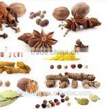 Seasoning Drying Machine thumbnail-5