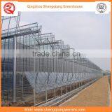 China Supplier Multi-span Glass 6.4m Agriculture Galvanized Steel Frame Greenhouses for Hot Sale thumbnail-6