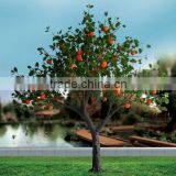 beautiful outdoor decorative fruit led light tree