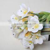 Natural Clivia Fabric Clivia Decorative Clivia Artificial Clivia Flower for Wholesale thumbnail-6