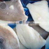 Frozen John Dory (Zeus Faber) Fillet Skin on thumbnail-1