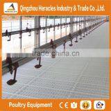 Trade Assurance Equipment Poultry Chicken Farming Materials--flooring Feeding and Drinking Equipment thumbnail-6