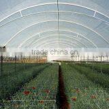 Economical Small Size Single Span Greenhouse for Agriculture thumbnail-2
