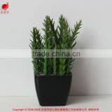 Artificial Wholesale Potted Succulent Plants Smalll Plants Mini Succulent thumbnail-2