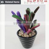 Tropical Mini Succulent Plants Bonsai for Sale Artificial Succulents thumbnail-5