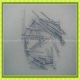 18 Guage Oval Brad Nails thumbnail-3