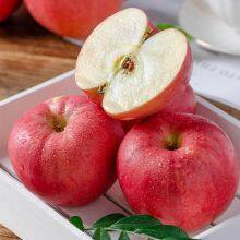 FRESH APPLES thumbnail-1