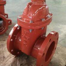 AWWA C509 Non-Rising Stem Resilient Gate Valve (IGAWWA-NRSS) thumbnail-2
