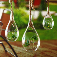 Terrarium Ball Globe Shape Clear Hanging Glass Vase Flower Plants Container Landscape DIY Wedding Home Decoration thumbnail-2