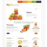 Professional Website Design and Seo