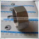 Stainless Steel threaded fitting / hexagon cap