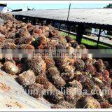 10TPH -80TPHpalm Oil Pressing Machine thumbnail-1