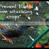 Square Bird Control Netting thumbnail-2