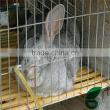 environment friendly rabbit farming cage