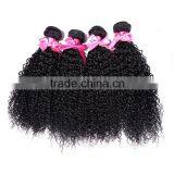 Brazilian Human Virgin Kinky Hairpiece Manufacturer Curly Wave Wholesale thumbnail-5