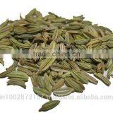 Fennel Seeds thumbnail-1