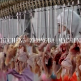 CHICKEN SLAUGHTER AND ABATTOIR MACHINE EQUIPMENT thumbnail-2