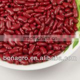 2012 crop british type Dried Dark Red kidney bean