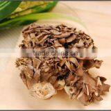 Best Selling Organic Dried Maitake Mushroom thumbnail-3