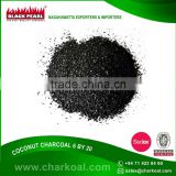 Unique Shape Coconut Shell Charcoal with Faster Heats up Quality