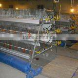 Brand New Automatic Chicken Layer Cage for Sale in Philippines With High Quality thumbnail-4