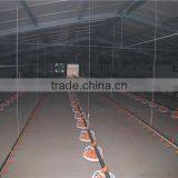 Automatic pan feeding line for poultry house