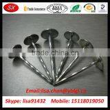 Dongguan Factory OEM High Precision Umbrella Roofing Nail thumbnail-3