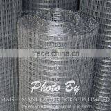 50x50mm Galvanzied Welded Wire Mesh
