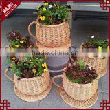 Indoor Desk Decoration Wicke Rwoven Novelty Small Teacup Planters thumbnail-1