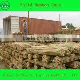 Raw House Product Bamboo