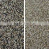 CCD Oil Seed Color Sorter/sorting Machine/Food Processing Machine thumbnail-3