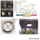 Hot Wholesale 600W Sunflower Type Full Spectrum Led Grow Light thumbnail-4