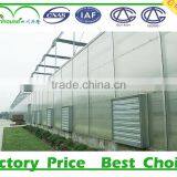 Low Cost High Quality Agricultural Greenhouses thumbnail-3