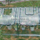 Mini Transparent Greenhouse thumbnail-1