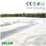 Polypropylene Woven Fabric 100% PP Nonwoven Fabric Fruit Bag thumbnail-3