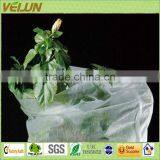 Nonwoven Fabric Fruit Bag Made of 100% Polypropylene Non Woven thumbnail-2