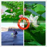 Special HDPE Geomembrane for Lotus Keeping thumbnail-1